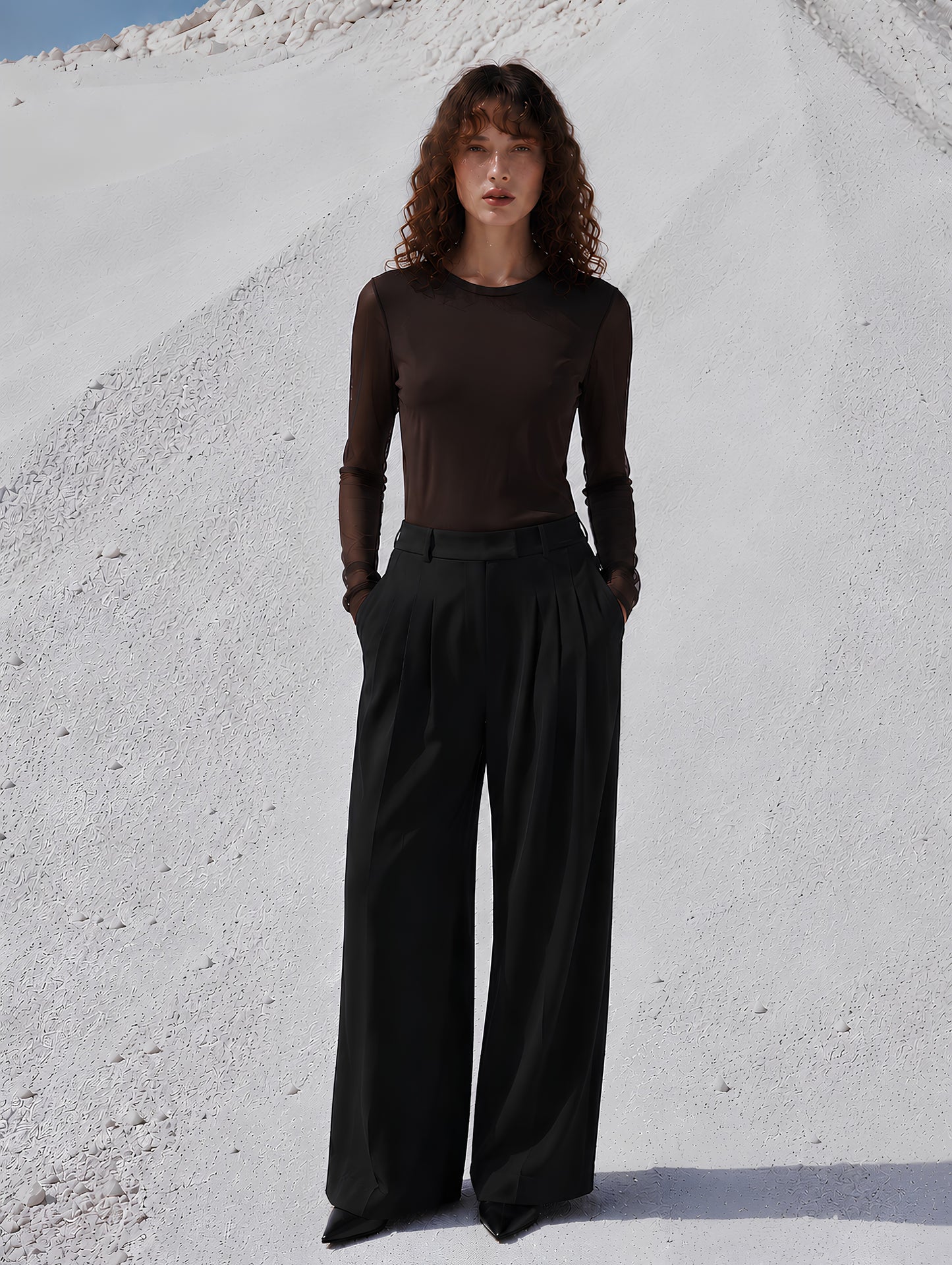 Sheer Sleeve Top