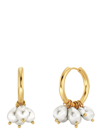 Pearl Signet Hoops Gold